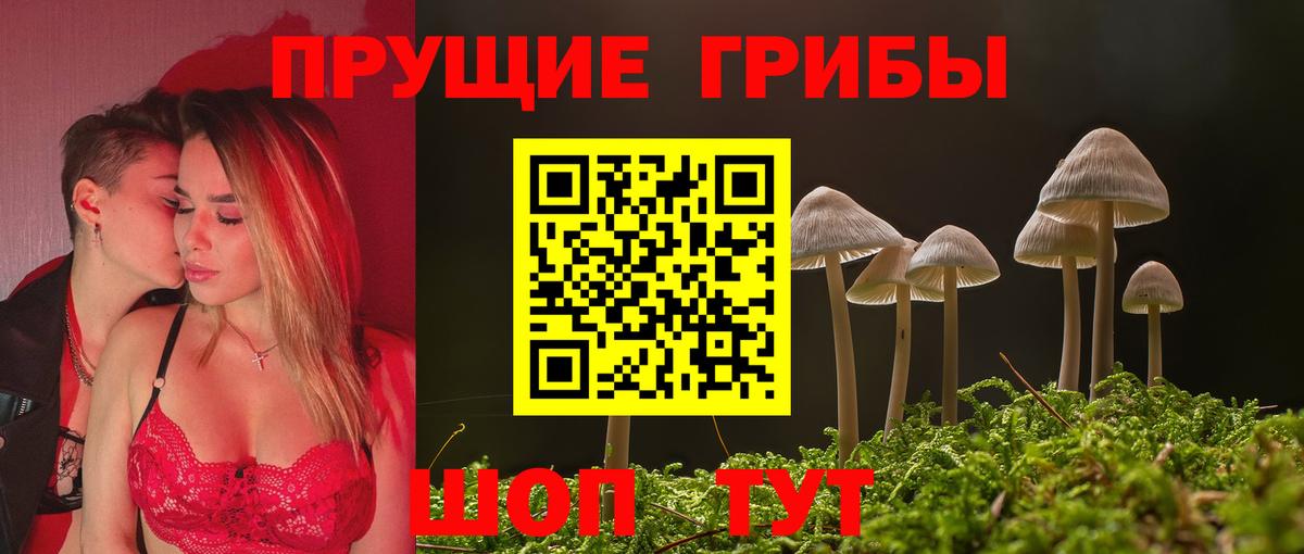 Галлюциногенные грибы Psilocybine cubensis  Вход с VPN  Дивногорск 